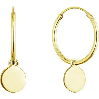 Náušnice EVOLUTION GROUP CZ Pozlacené stříbrné náušnice kruhy s placičkou - 61058