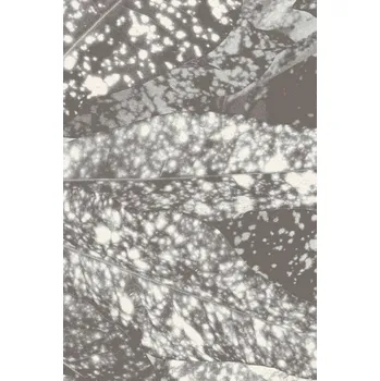 Koberec Vlněný koberec Agnella Tempo Natural Kroton Šedý - 100 x 180 cm