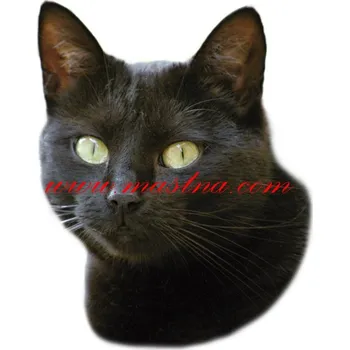 Samolepka kočka evropská černá 2