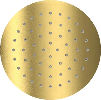 Sprchová hlavice Excellent sprchová hlavice 25x25 cm kulatý || AREX.3025GB