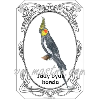 Cedulka papoušek korela ovál - Bez samolepicí vrstvy