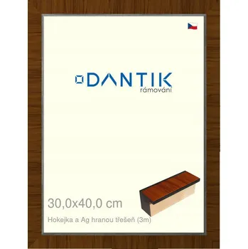 Obraz DANTIK Rámeček 40 x 30 cm
