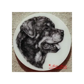 Rotvajler magnet nebo placka - Špendlík brožový