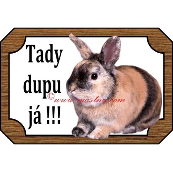 Cedulka králík japonský zakrslý - Bez samolepicí vrstvy