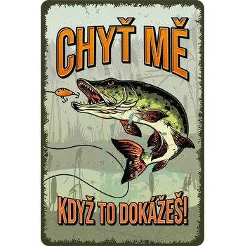 Plechová cedule Postershop Plechová cedule: Chyt me když to dokážeš - 20x30 cm