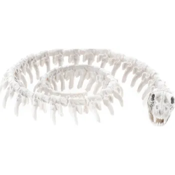 Party dekorace Chaks Dekorácia - Kostra hada