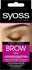 Barva na řasy a obočí Syoss Brow Tint 17 ml