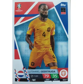 Sběratelská karetní hra Lutsharel Geertruida