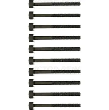 Spojovací materiál motoru Sada sroubu pro hlavy valcu VICTOR REINZ 14-19487-01