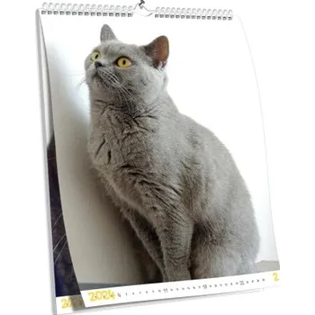 Fotokalendář Nástěnný kalendář NKN-43 (A5)