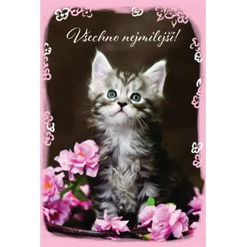 Přání K - Zvířátko 7