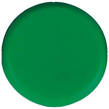 Dekorativní magnet Organizační magnet, kulatý zelený 20 mm eclipse rm765/g