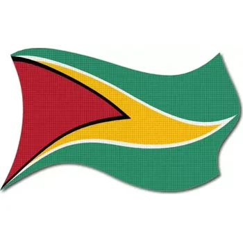 Vlajka Pelisport Guyanská vlajka vlající