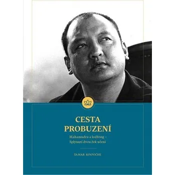 Cesta Probuzení: Mahamudra a lojong - Splynutí dvou řek učení - Shamar Rinpočhe