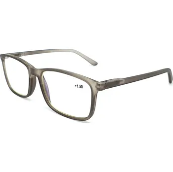 Brýle na čtení Brýle na počítač IDENTITY MC2172B /+3,00 grey