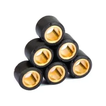 Motor pro motocykl RMS Válečky 24x17 RMS - 14 gr 100400892