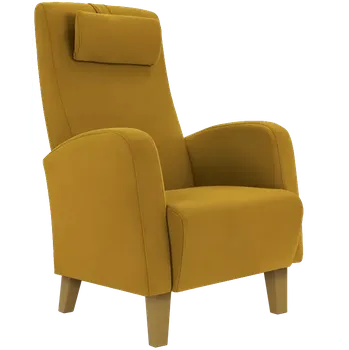 Křeslo DUBLIN, křeslo, moření přírodní, látka medová