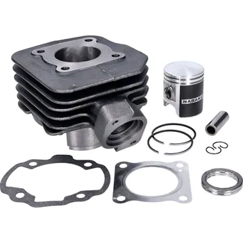 Motor pro motocykl Naraku Válec 50ccm V.2 Peugeot vert. - standard NK101.05.2