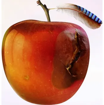 Hudba International Music: Ententraum - 2Vinyl (LP)