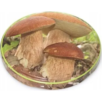 Víčko na zavařovací sklenici Víčko TWIST 82 HOUBY, 10ks