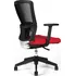 Office Pro Themis BP