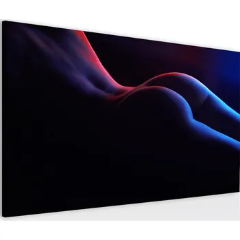 Obraz Malvis Obraz tajemství těla ultra violet Velikost (šířka x výška): 90x60 cm