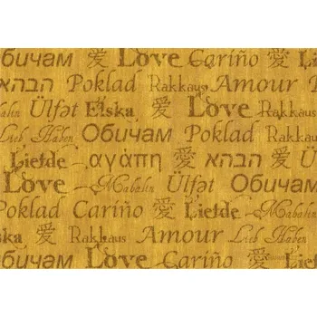 Náplast FGXpress PowerStrips 1 ks