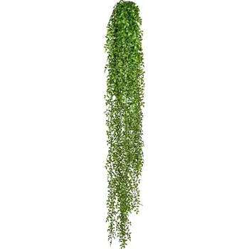 umělá květina Ruscus popínavá rostlina, 160cm (umělá rostlina)
