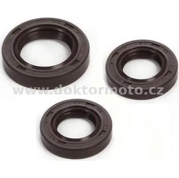 Těsnění pro motocykl Gufera motoru - sada 3ks ( Pio 550 ) s kroužkem