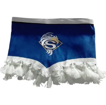 Stínítko do auta Přední záclonka pro SCANIA, modrá barva a bílé střapce