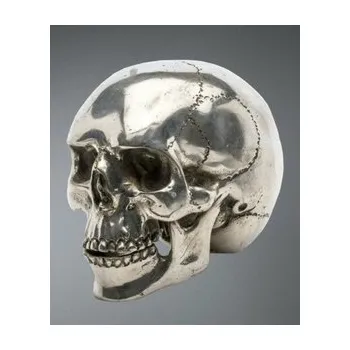 Lebka kovová s logem Queen of Darkness