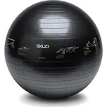 SKLZ Trainer Ball 65 cm černý