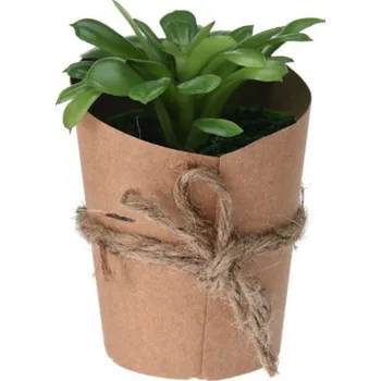 umělá květina H&L Sukulent v natur květináčku, varianta B