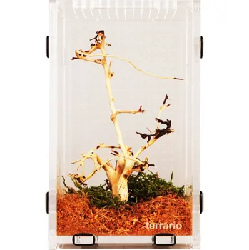 Terárium Terrario Mantis Area L – akrylové terárium