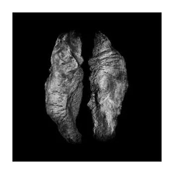 Zahraniční hudba 2LP Saffronkeira: Cause And Effect LTD 2015 Limited Edition Vinyl