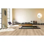 Vinylová podlaha zámková rigidní SPC PARADOR Basic 5.3 SPC Dub Royal světle bělený kartáčovaná struktura 1743006