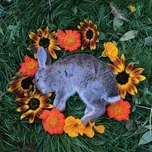 Monolord - Your Time To Shine (LP, RR74831)