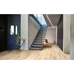 Vinylová podlaha celoplošně lepená PARADOR Basic 2.0 Dub Royal světle bělený kartáčovaná struktura 1730780