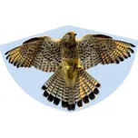 Günther Falke létající drak 92 x 62 cm…