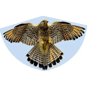 Létající drak Günther Falke létající drak 92 x 62 cm Sokol