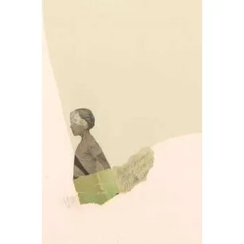 Zahraniční hudba LP Mock Orange: Put The Kid On The Sleepy Horse 2016 Limited Edition Vinyl