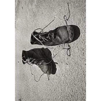 Deníky - Josef Koudelka (2021, flexo)