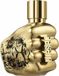 Diesel Spirit of the Brave Intense M EDP