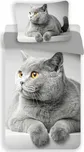 Universal Design 3D Grey Cat 140 x 200,…