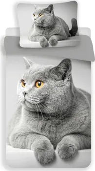 Ložní povlečení Universal Design 3D Grey Cat 140 x 200, 70 x 90 cm zip