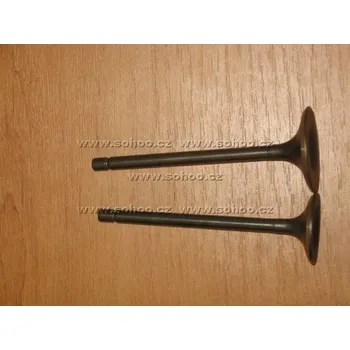 Motor pro motocykl Sohoo Ventily na pitbike dirtbike ATV - 250ccm Typ2