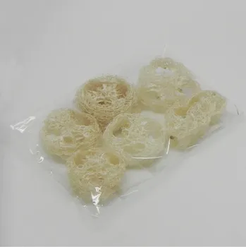 Zahradní dekorace Sušina Luffa fette bianco naturale 6ks (10-837/HP)