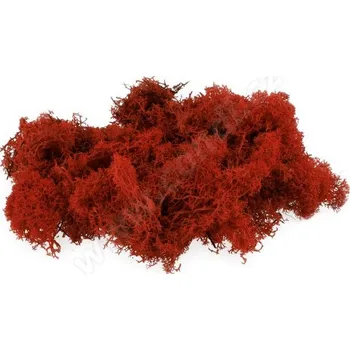 DEKORACE - Severský sobí mech oranžový Obsah: 30 g