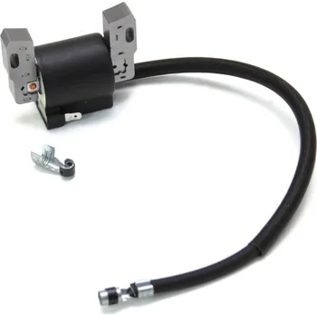 Zapalování AVS B&S 12,5