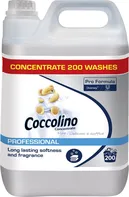 Coccolino Professional Pure 5 l